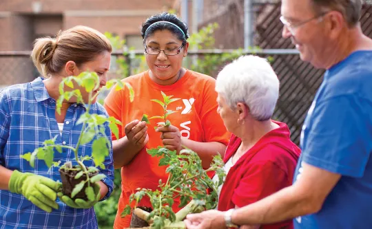 Friends working in a community garden
