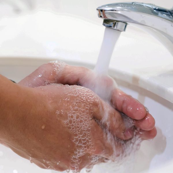 Maintaining a Healthy Environment