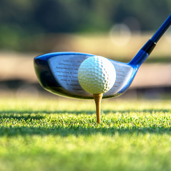 SAS Championship Helps Kids Succeed