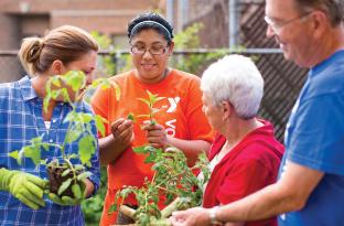 Friends working in a community garden