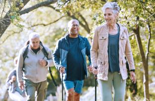 Group of senior adults walking outside