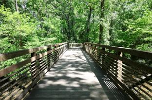 outdoor greenery and walking trail with sunshine