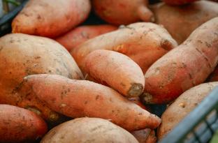 Basket of Sweet Potatoes