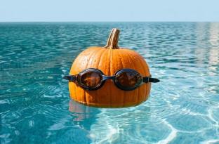 Pumpkin in swim goggles in pool water
