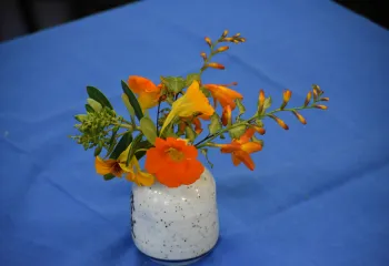 Orange flower arrangement on blue table