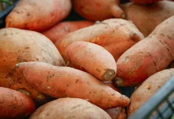 Basket of Sweet Potatoes
