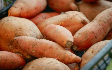 Basket of Sweet Potatoes