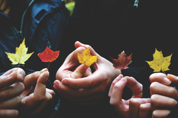 hands holding leaves