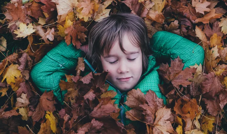 kid in leaf pile